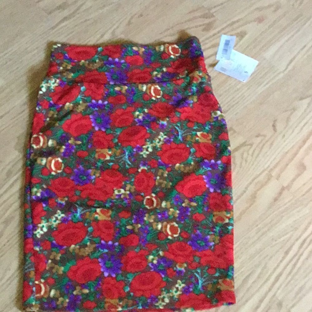 NWT LULAROE CASSIE skirt in vibrant rose design in size small